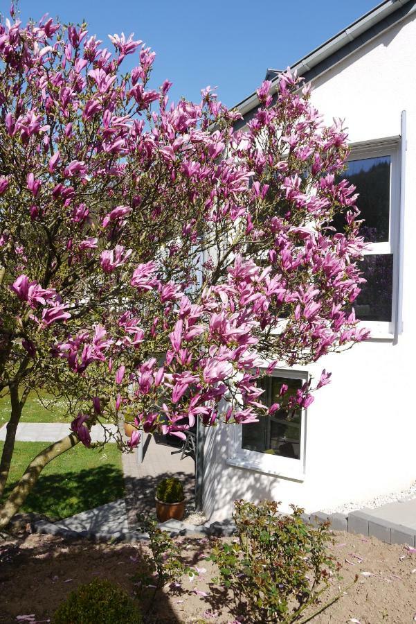 Ferienwohnung "Magnolia" Kordel Exterior photo